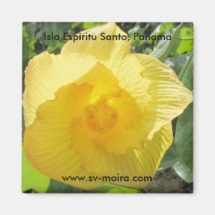 Isla Espiritu Santo, Islas las Perlas, Panama Magneet