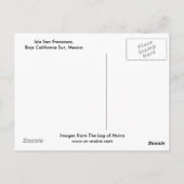 Isla San Francisco, Baja California Sur, Mexico Briefkaart (Achterkant)