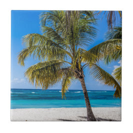 Isla Saona Beach Domenican Republic gift Poster Ho Tegeltje