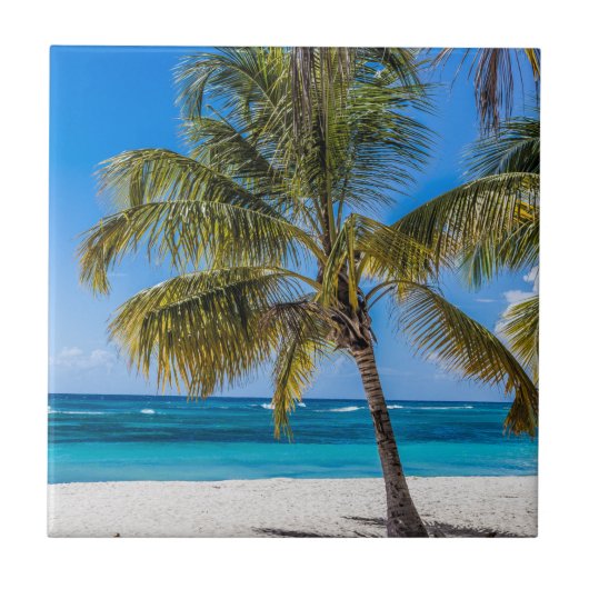 Isla Saona Beach Domenican Republic gift Poster Ho Tegeltje (Voorkant)