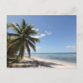 Isla Saona Caribbean Paradise Beach Briefkaart (Voorkant)