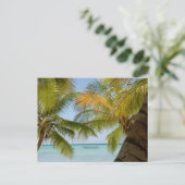 Isla Saona (eiland) Dominicaanse Republiek Post Ka Briefkaart (Staand voorkant)