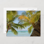 Isla Saona (eiland) Dominicaanse Republiek Post Ka Briefkaart (Voorkant / Achterkant)