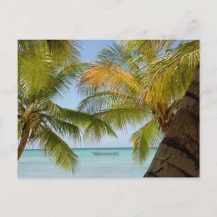 Isla Saona (eiland) Dominicaanse Republiek Post Ka Briefkaart
