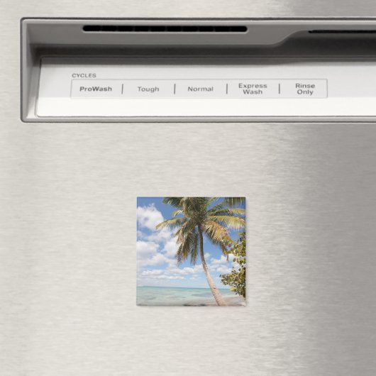 Isla Saona - Palmboom aan de strand Magneet (Insitu (Vaatwasser))