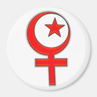 Islamitisch feminisme... magneet