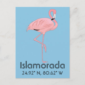 Islamorada FL Keys Flamingo Latitude Longitude Briefkaart