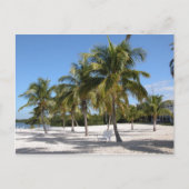 Islamorada Florida Beach Briefkaart (Voorkant)