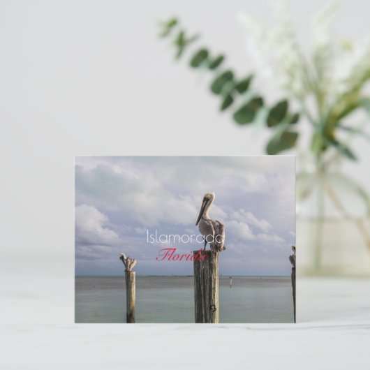 Islamorada, Florida Holiday Briefkaart (Staand voorkant)