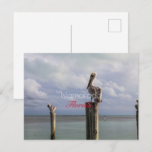 Islamorada, Florida Holiday Briefkaart (Voorkant / Achterkant)