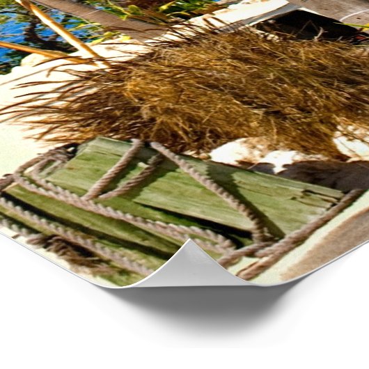 Islamorada, Florida Palmbomen Poster (Hoek)