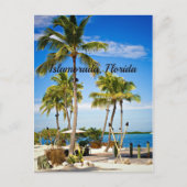 Islamorada, palmbomen in Florida Briefkaart (Voorkant)