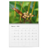 Island Art Tropical Calendar Kalender (Feb 2026)
