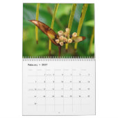 Island Art Tropical Calendar Kalender (Feb 2027)