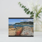 Island Bay, Wellington Briefkaart (Staand voorkant)