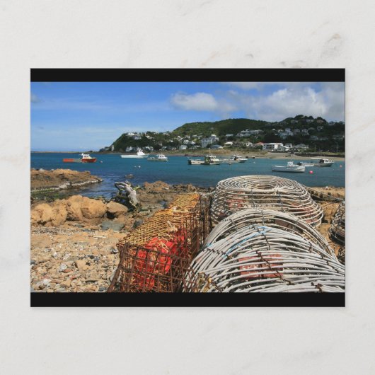 Island Bay, Wellington Briefkaart (Voorkant)