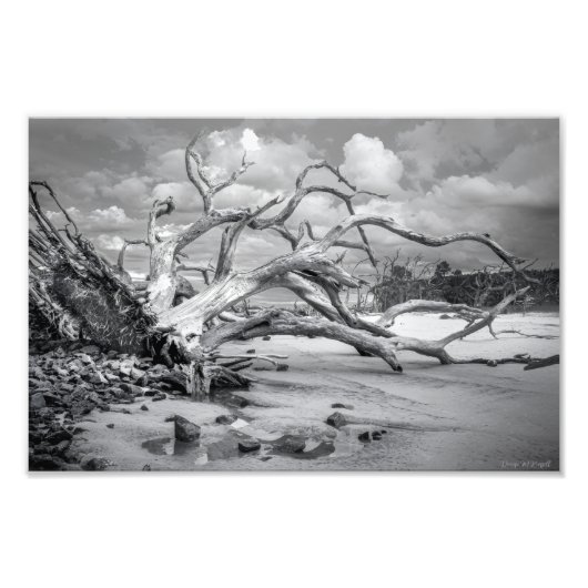 "Island Beach" Foto-afdruk Foto Afdruk (Voorkant)