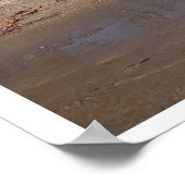 Island Beachfront op het meer Poster (Hoek)