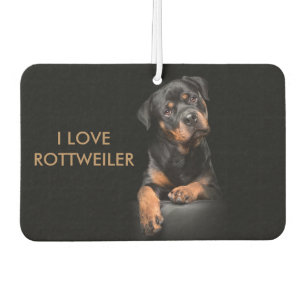 Island Breeze Landscape Rectangle Air Rottweiler Luchtverfrisser
