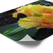 Island Flowers Poster (Hoek)