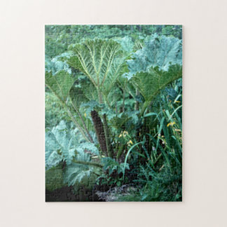 Island Garden Legpuzzel