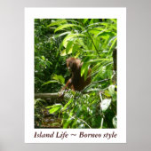 Island Life ~ Borneo style Poster (Voorkant)