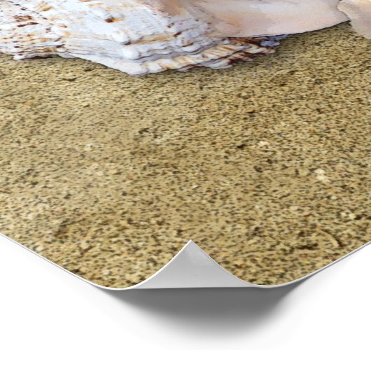 Island Life Poster (Hoek)