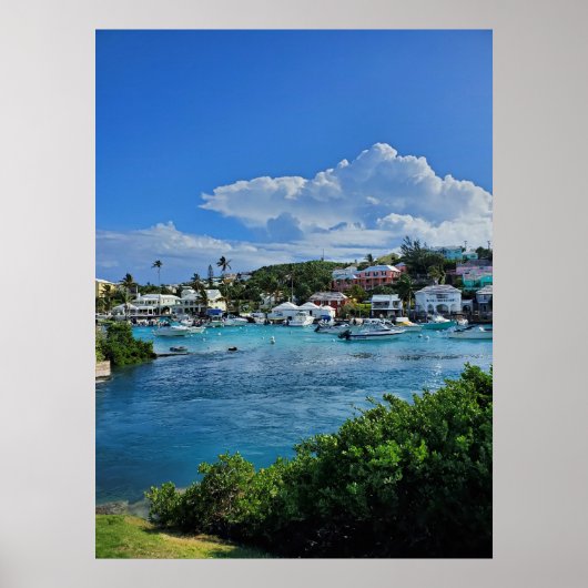 Island Life Poster (Voorkant)