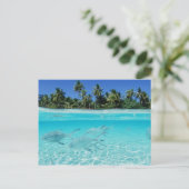Island Paradise Briefkaart (Staand voorkant)