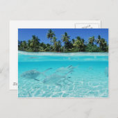 Island Paradise Briefkaart (Voorkant / Achterkant)