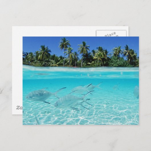 Island Paradise Briefkaart (Voorkant / Achterkant)