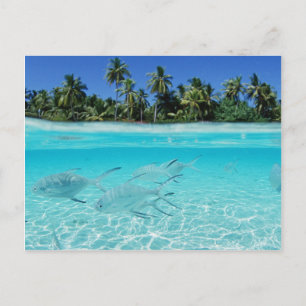 Island Paradise Briefkaart
