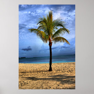 Island Tree Poster