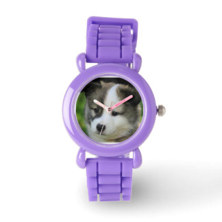 Islandhund - IJslandse Sheepdog Horloge