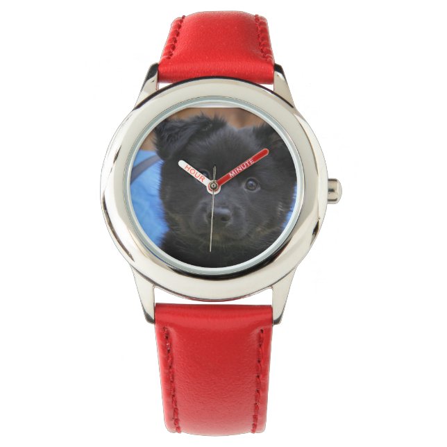 Islandhund - IJslandse Sheepdog Horloge (Voorkant)