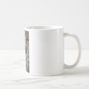 Islandhund Koffiemok
