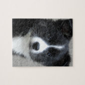 Islandhund Legpuzzel (Horizontaal)