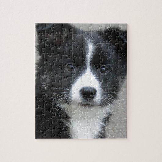 Islandhund Legpuzzel (Verticaal)