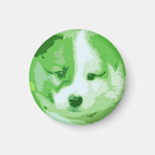 Islandhund Magneet