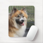Islandhund Muismat (Met muis)