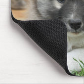 Islandhund Muismat (Hoek)