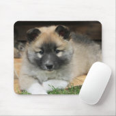 Islandhund Muismat (Met muis)