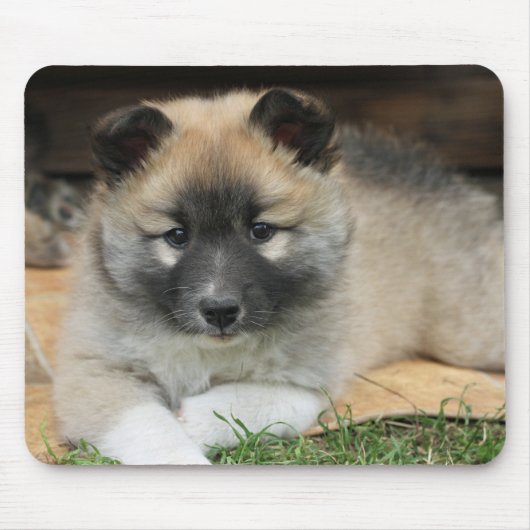 Islandhund Muismat (Voorkant)
