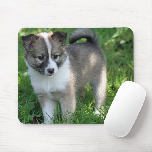 Islandhund Muismat (Met muis)