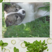 Islandhund Theedoek (Gevouwen)