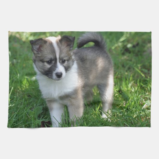 Islandhund Theedoek (Horizontaal)