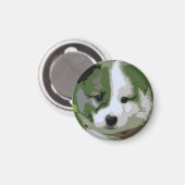 Islandhund Welpe als Collage in grün Magneet (Voorkant / Achterkant)