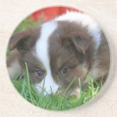 Islandhund Zandsteen Onderzetter (Voorkant)