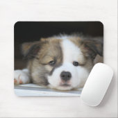 Islandhundewelpe Muismat (Met muis)