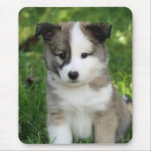 Islandhundwelpe Splitface Muismat (Voorkant)